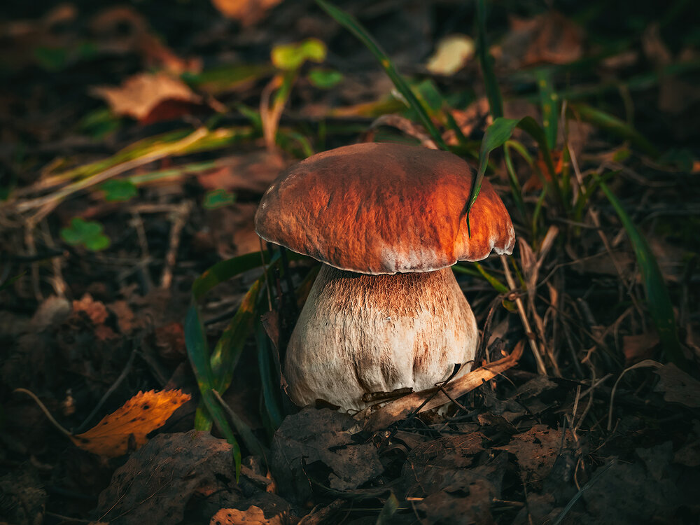 Photograph by Волкова Анна