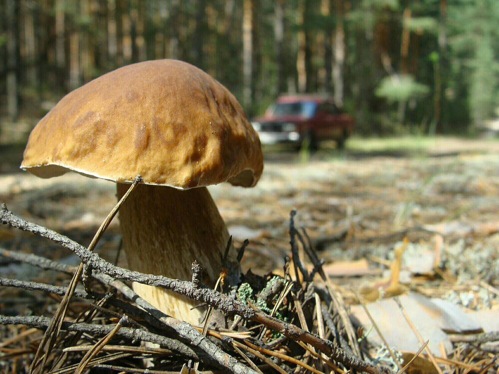 Photograph by Павел Попов