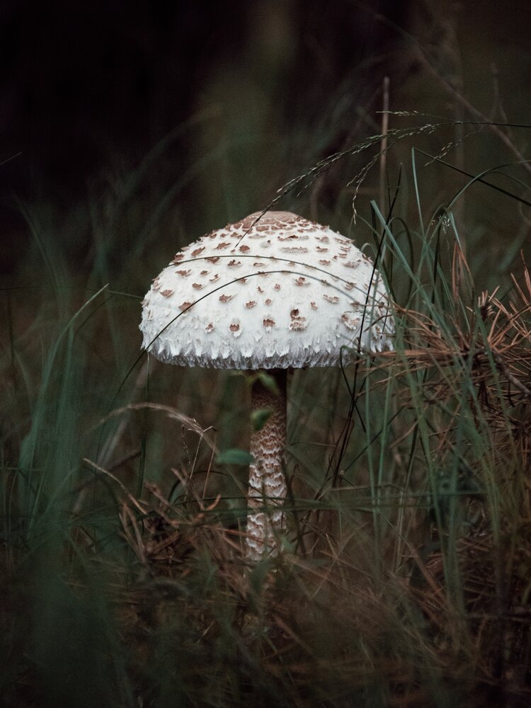 Photograph by Анна Любимова