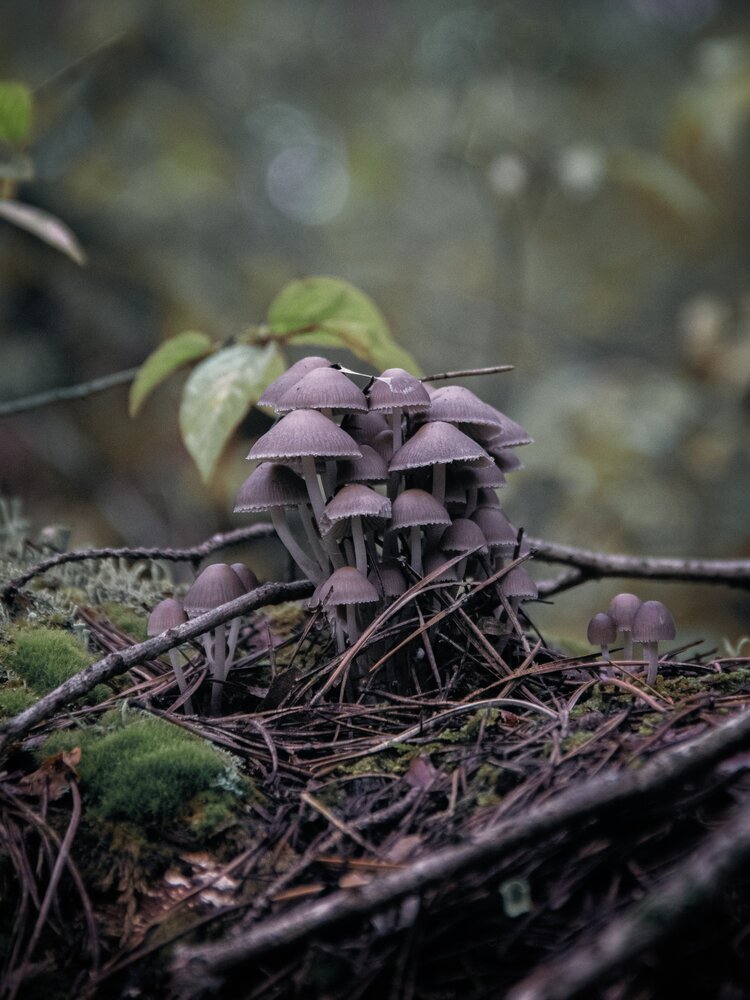 Photograph by Анна Любимова