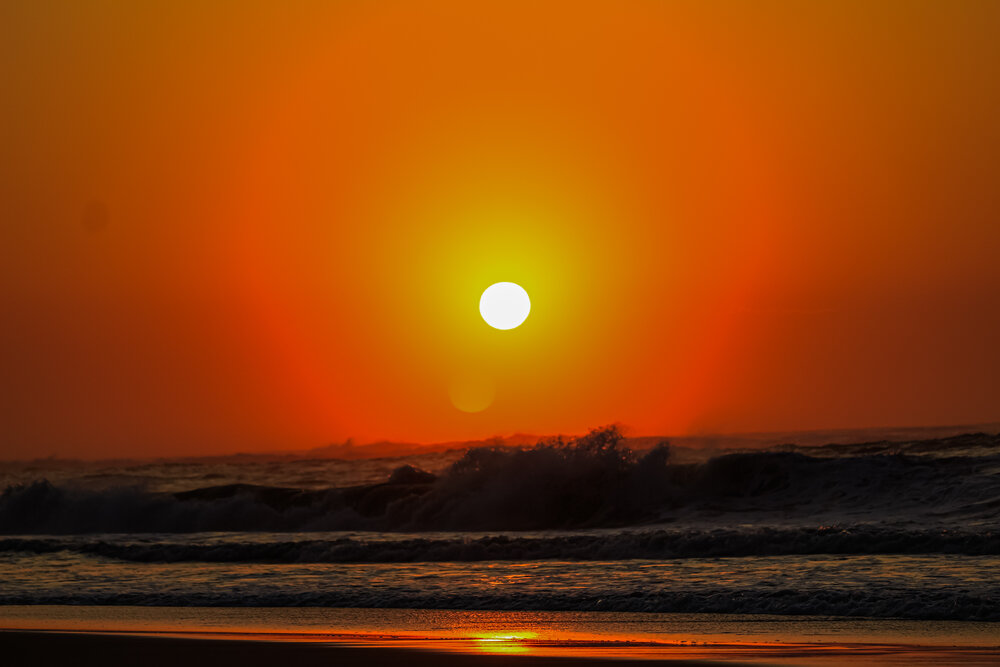 Photograph by Michelle Hart
