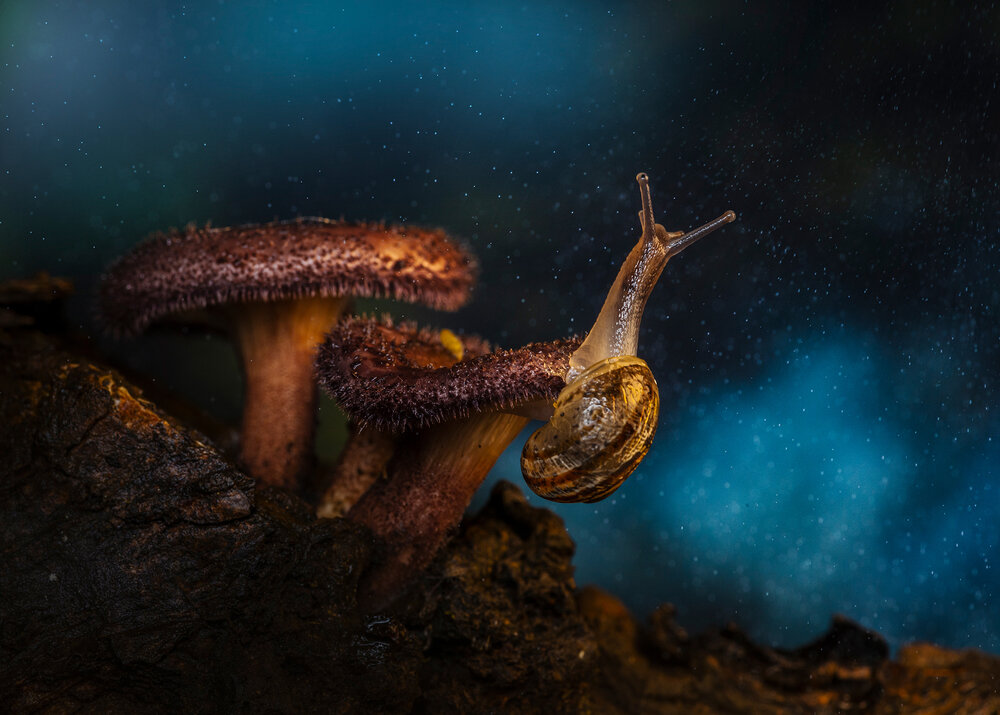 Photograph by Valdir Hobus