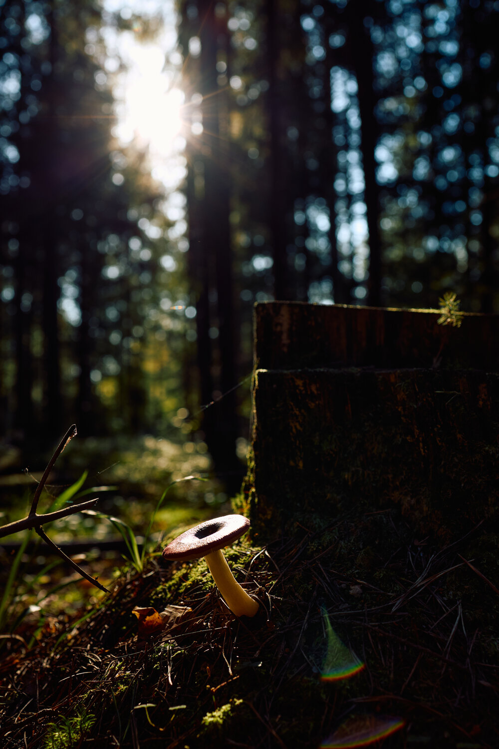 Photo #13920224