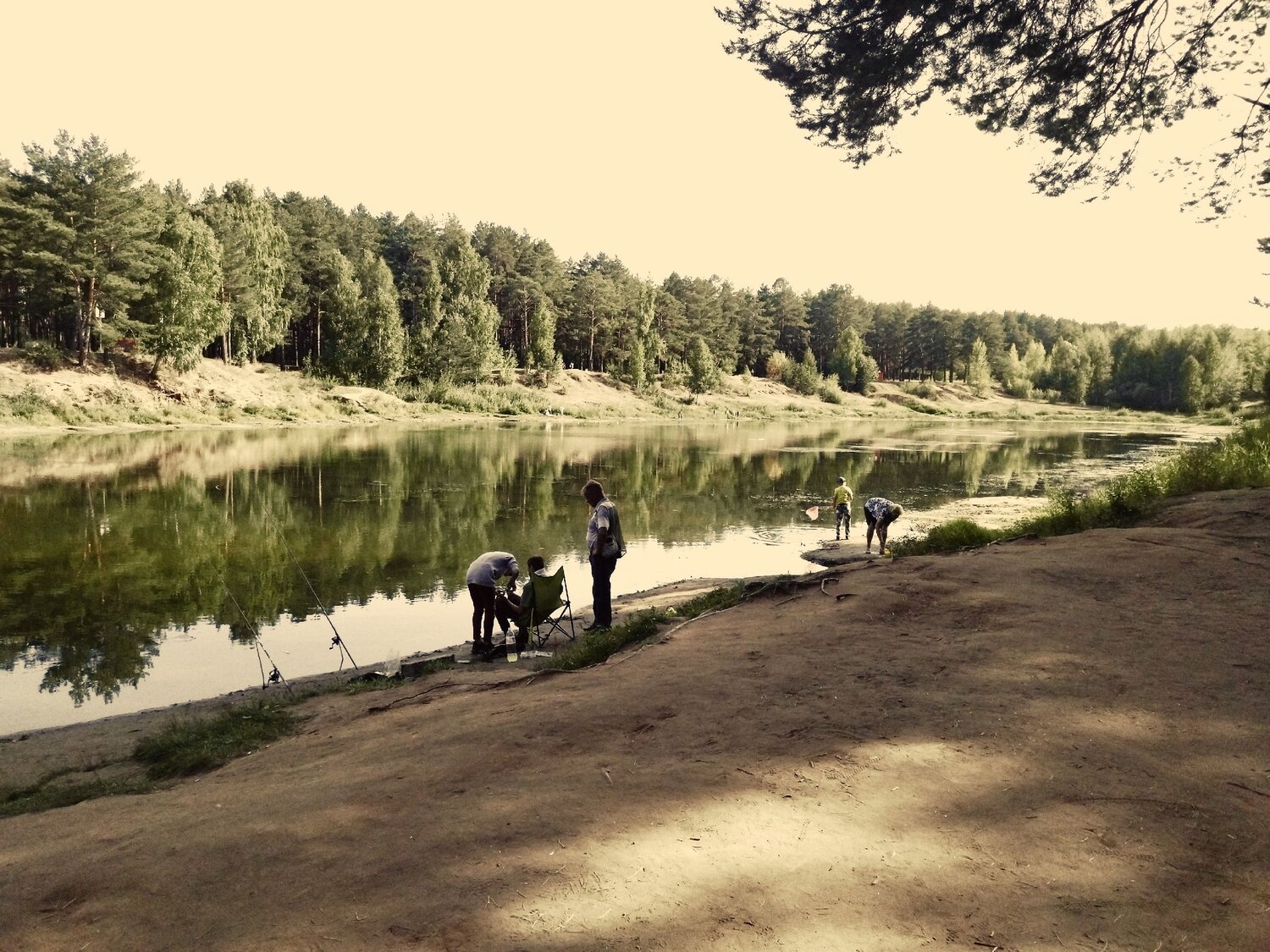 Photo #13920237