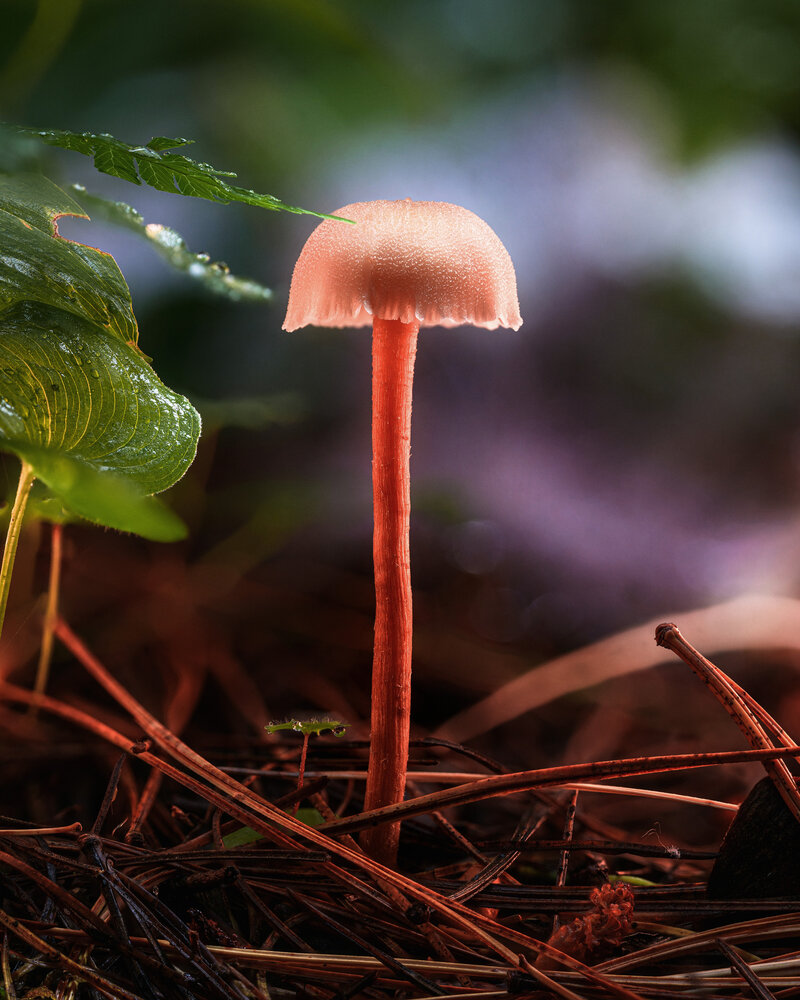 Photograph by Евгений Жуланов