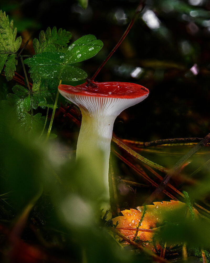 Photograph by Евгений Жуланов
