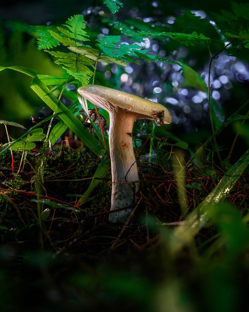 Photograph by Евгений Жуланов