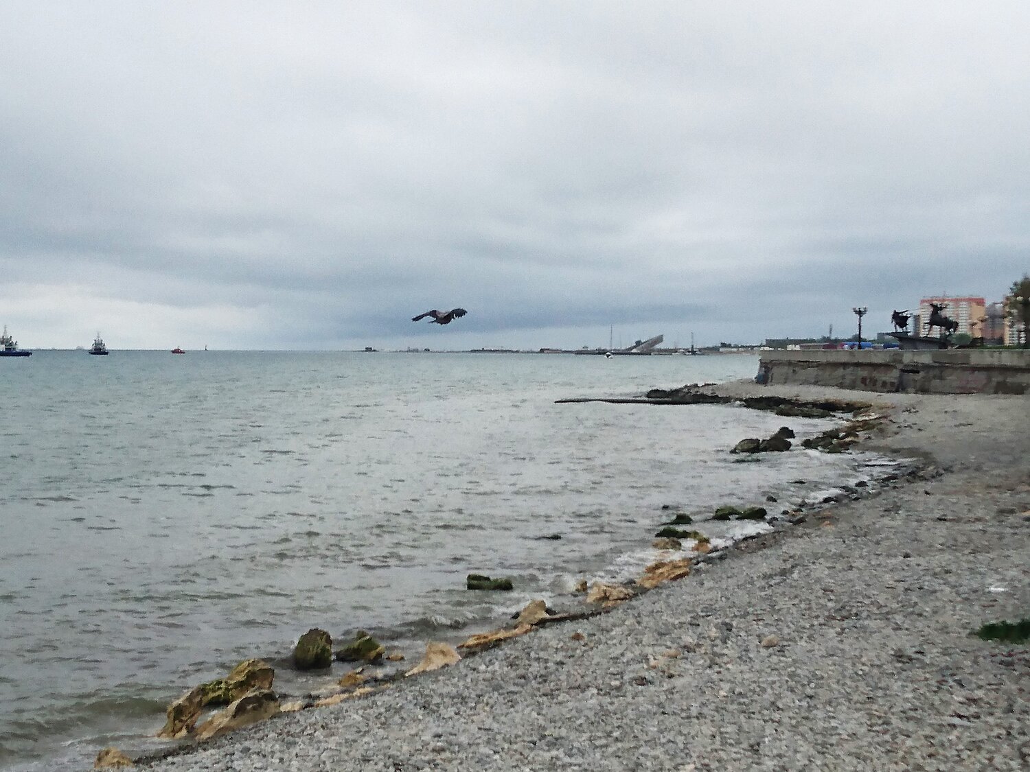 Photo #13920300