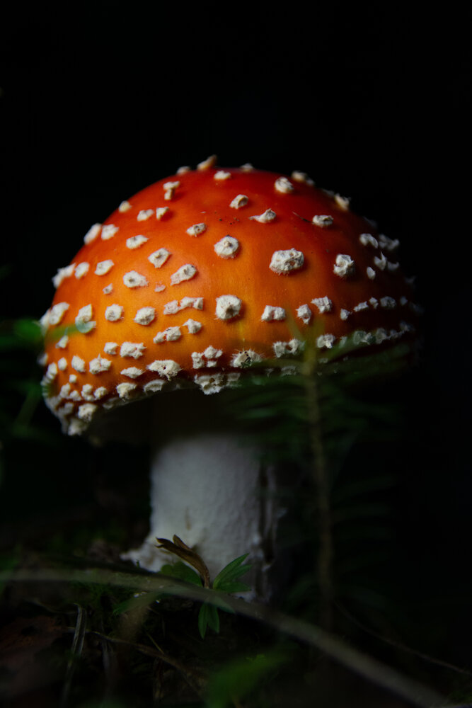 Photograph by Ольга
