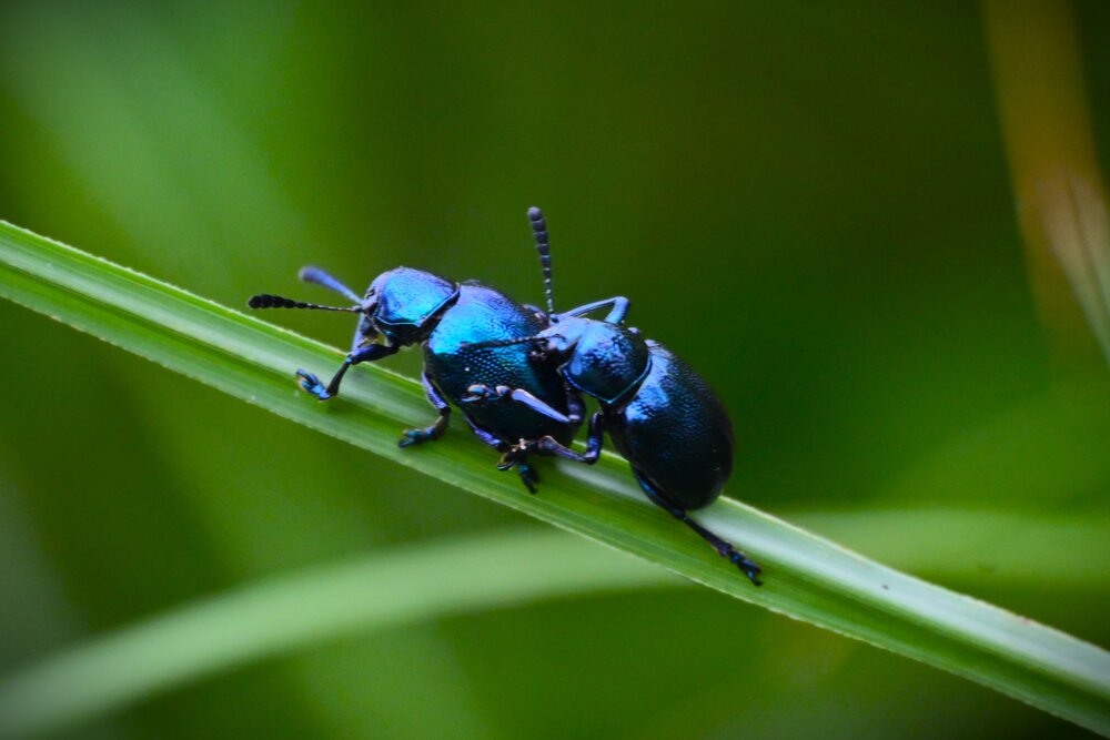 Photograph by Raushan Kumar