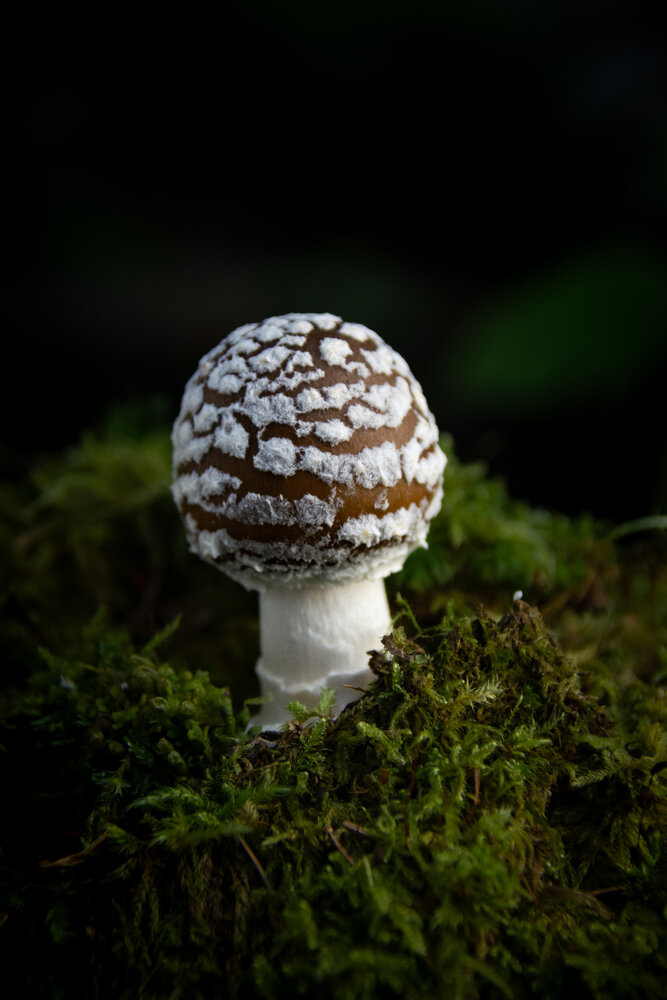 Photograph by Ольга