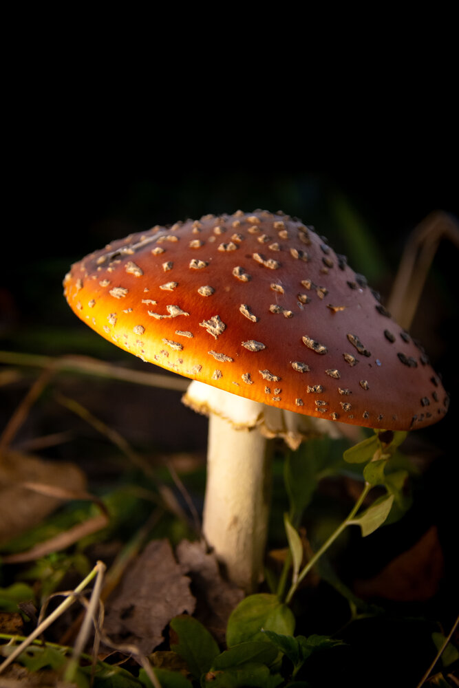 Photograph by Ольга