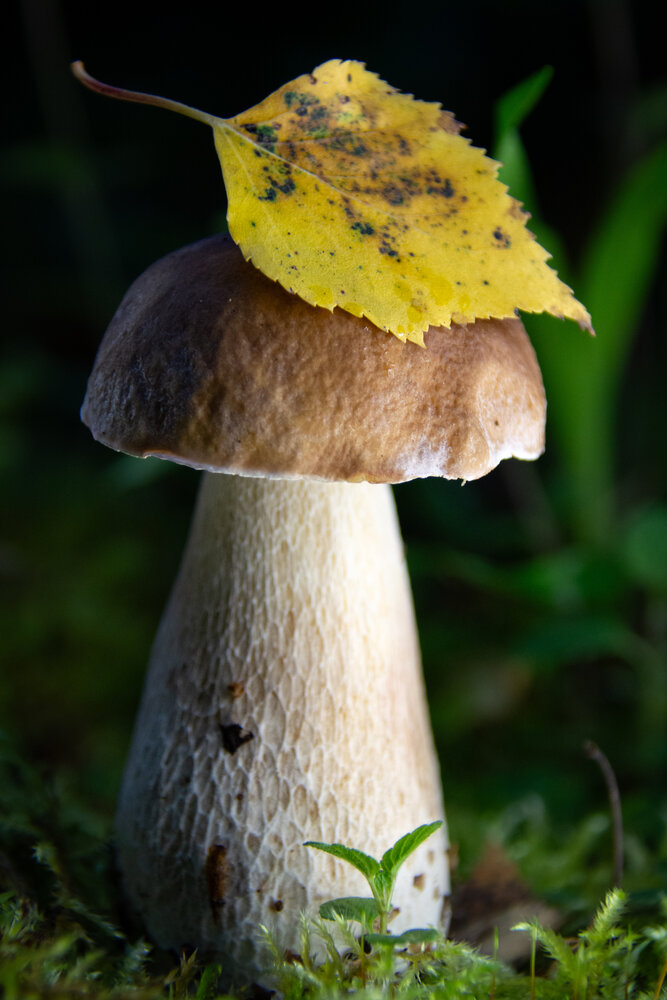 Photograph by Ольга