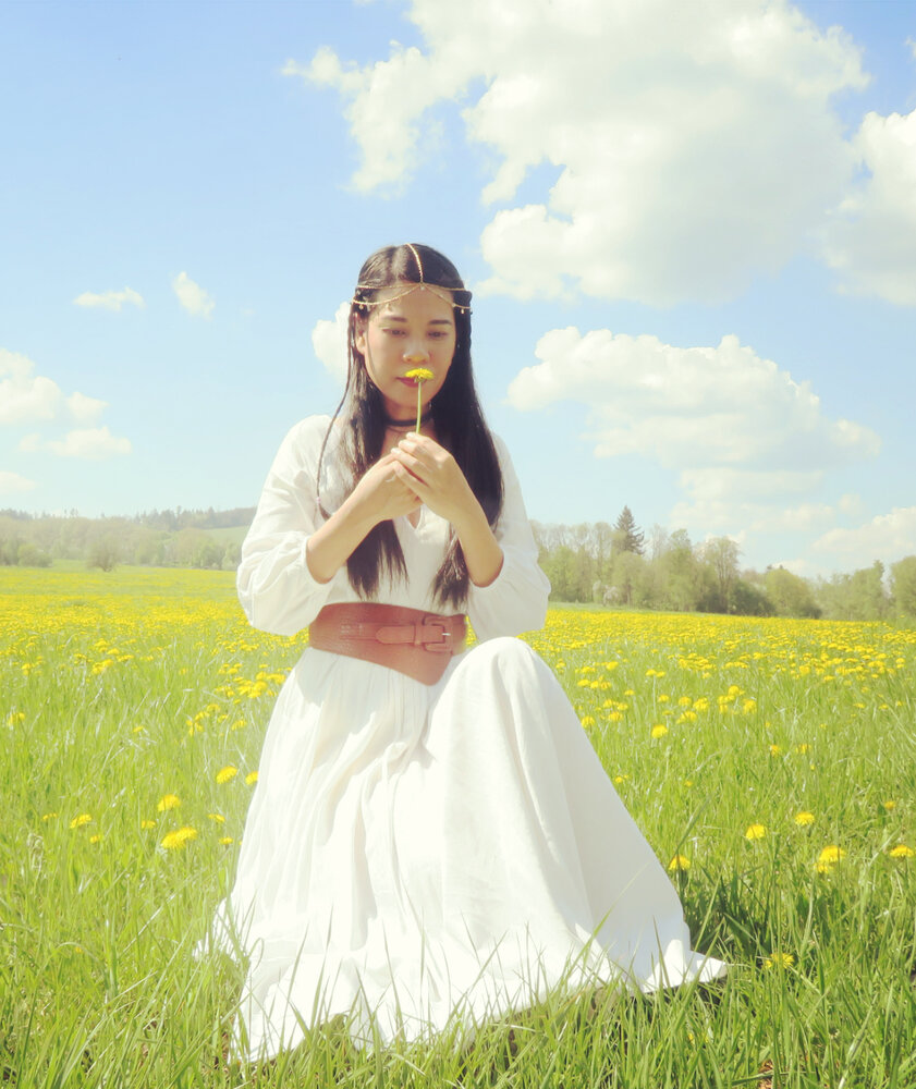 Whisper of the Dandelion