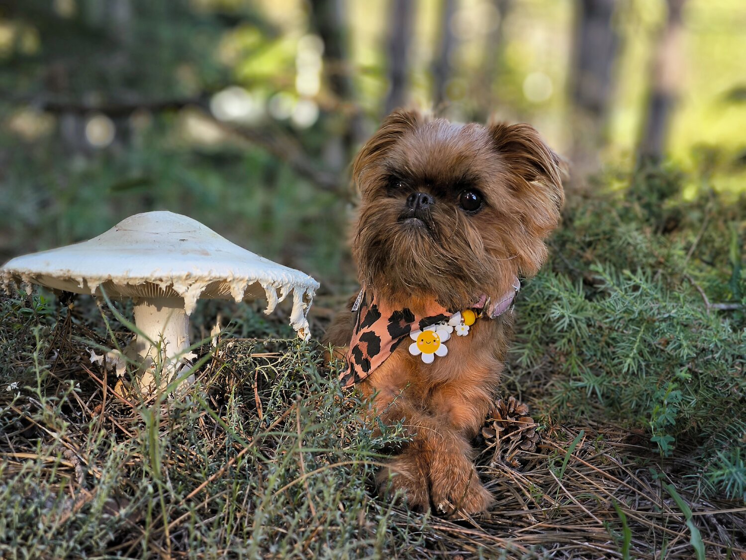 Photo #13920344