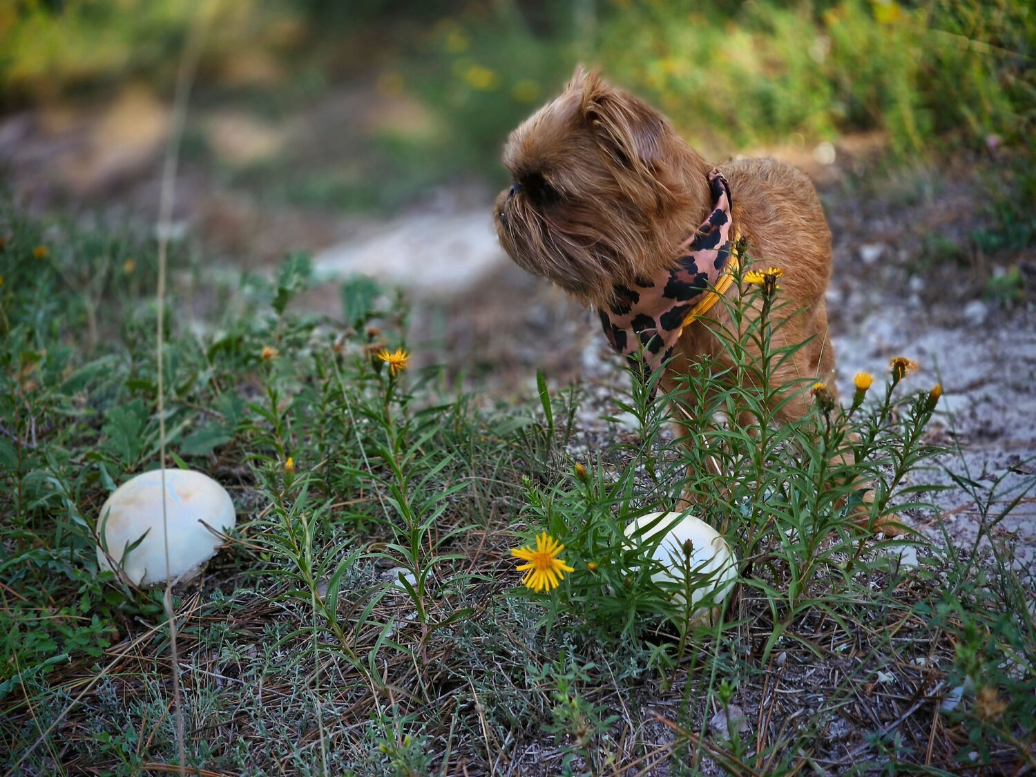 Photo #13920346