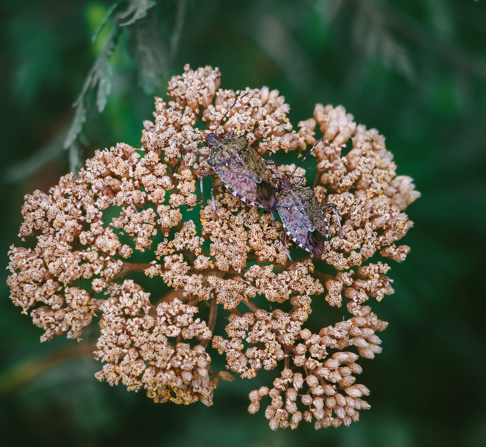 Photograph by Христина Сергейчик