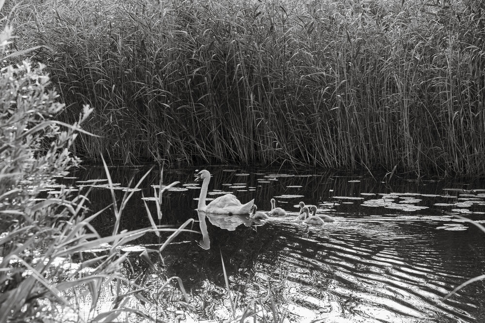 Photograph by Вадим Копилец