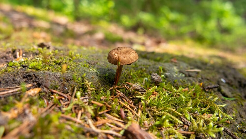 Photograph by Ольга Зимина