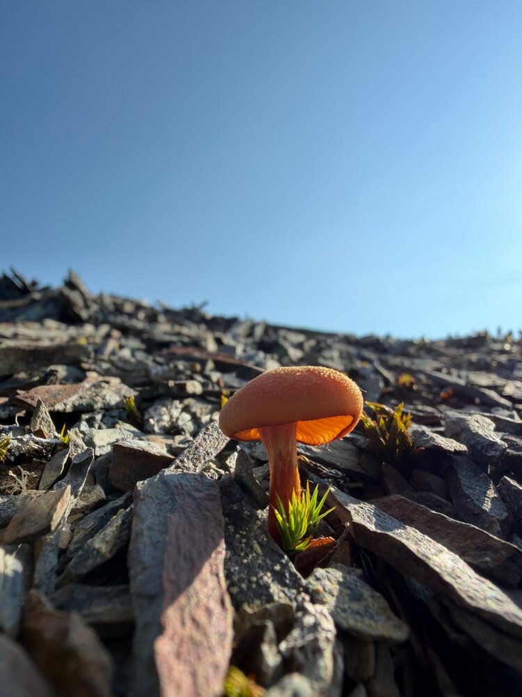Photograph by Ольга Зимина