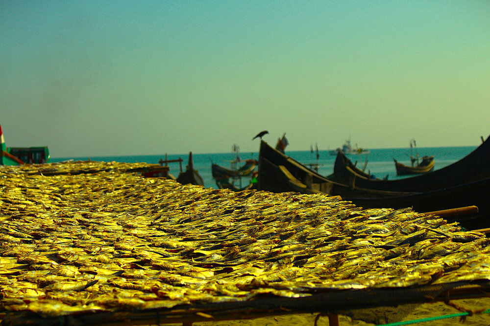 Photograph by Zannatul Ferdous Badhon