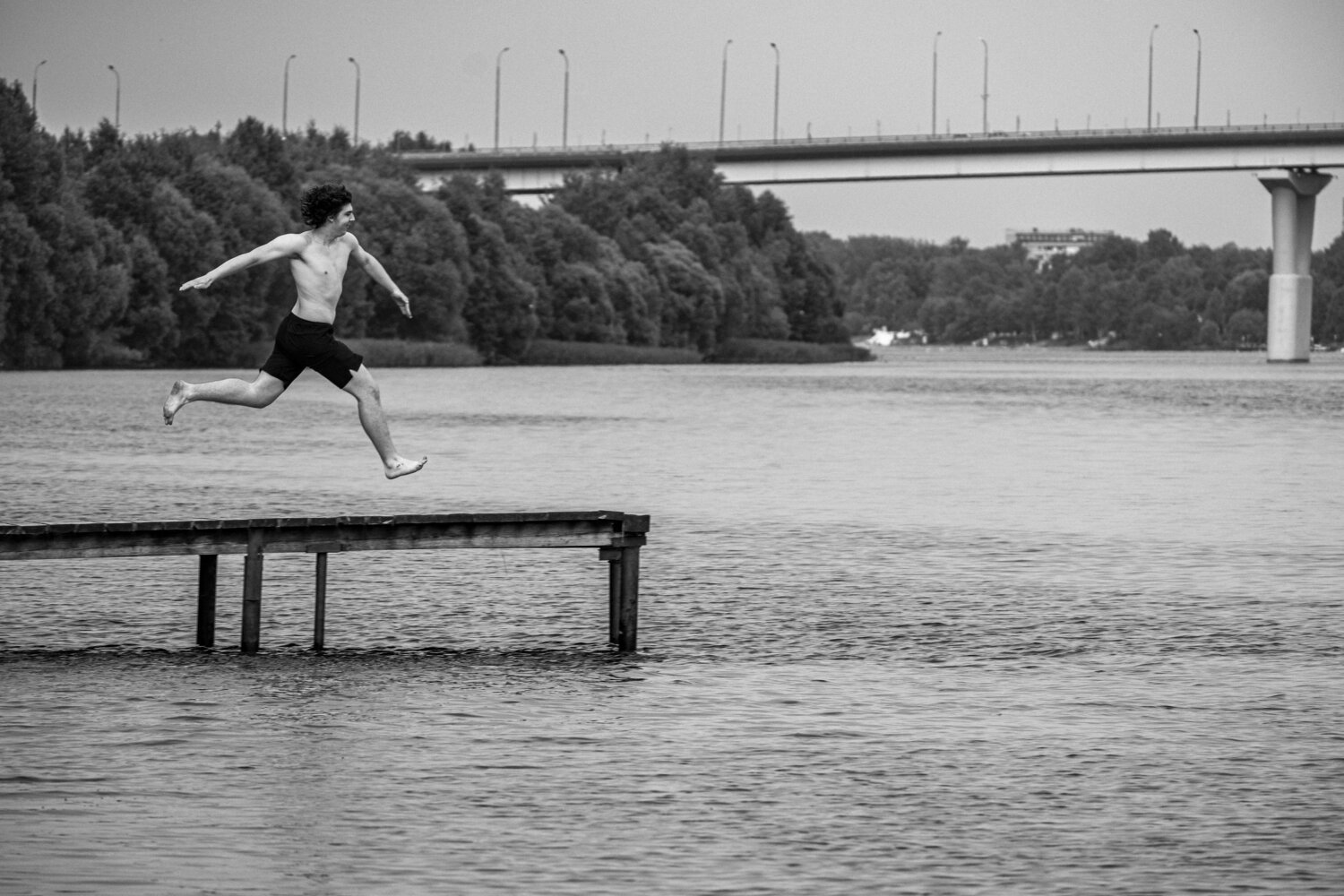 Photo #13920585