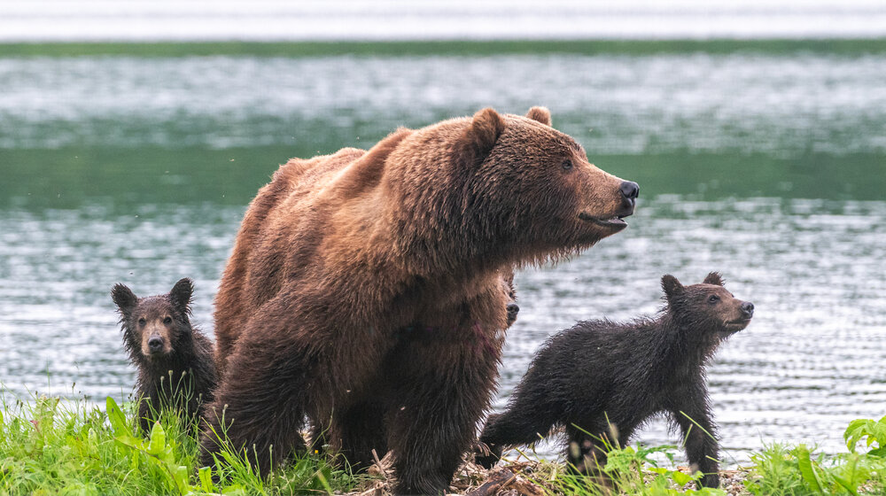Photograph by Савчук Сергей