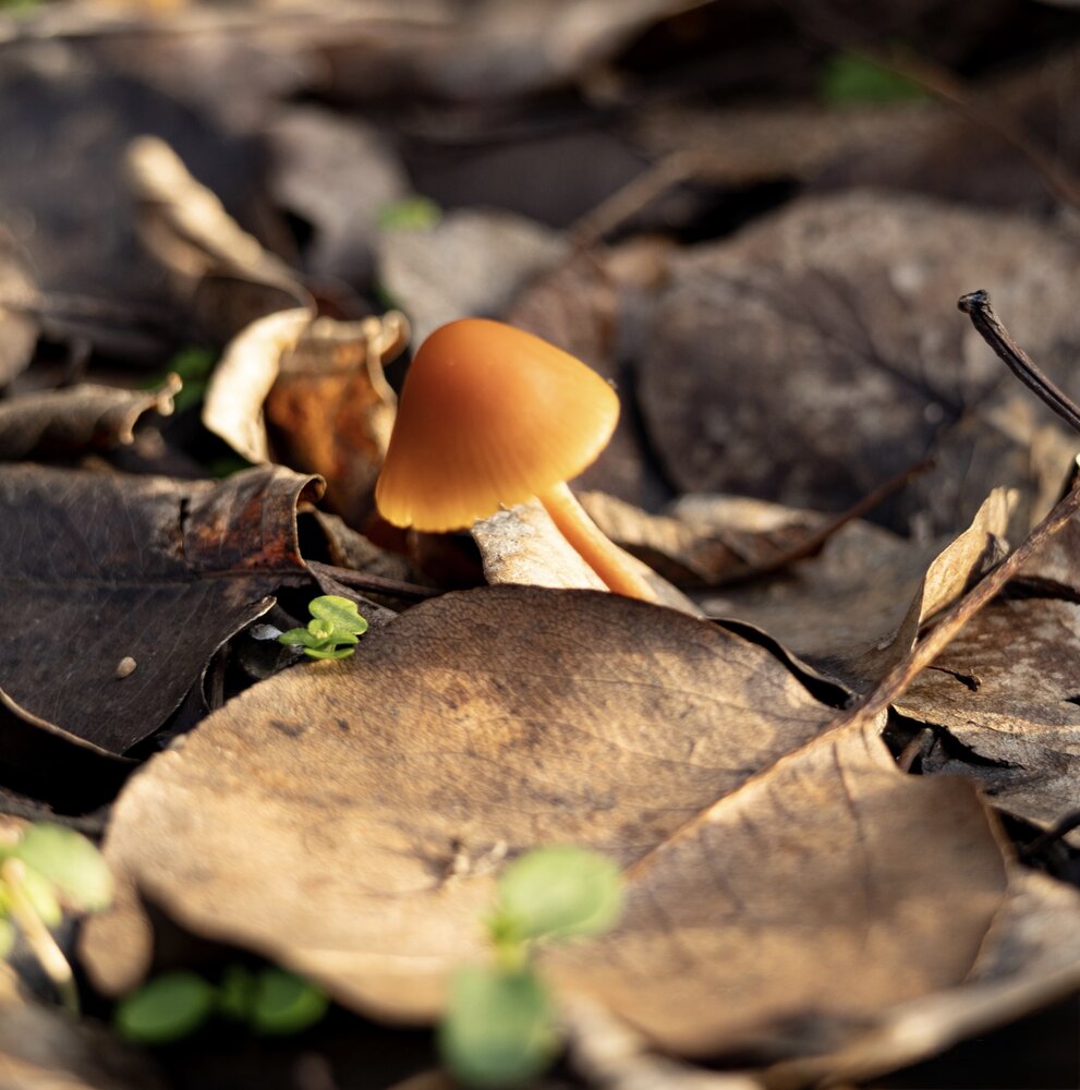 Photograph by Ирина Бабич