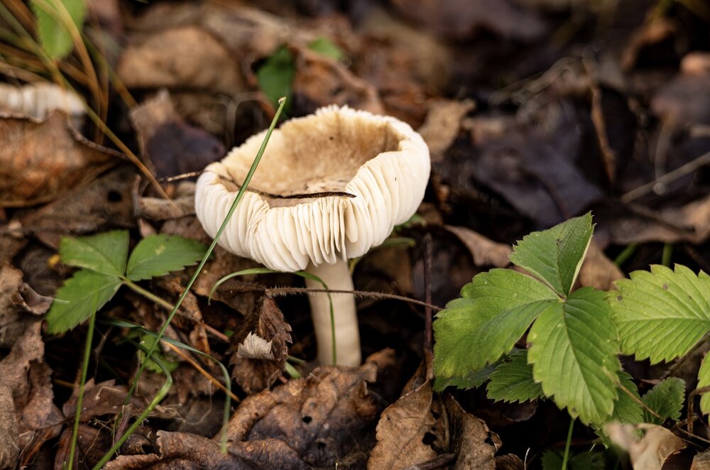 Photograph by Ирина Бабич
