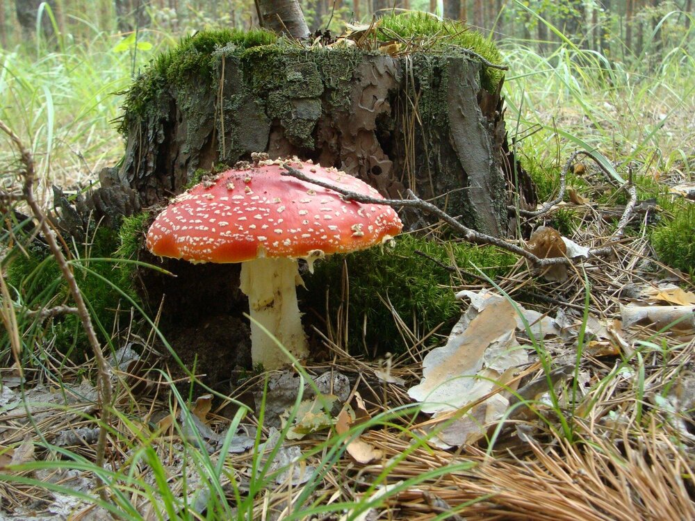Photograph by Павел Попов