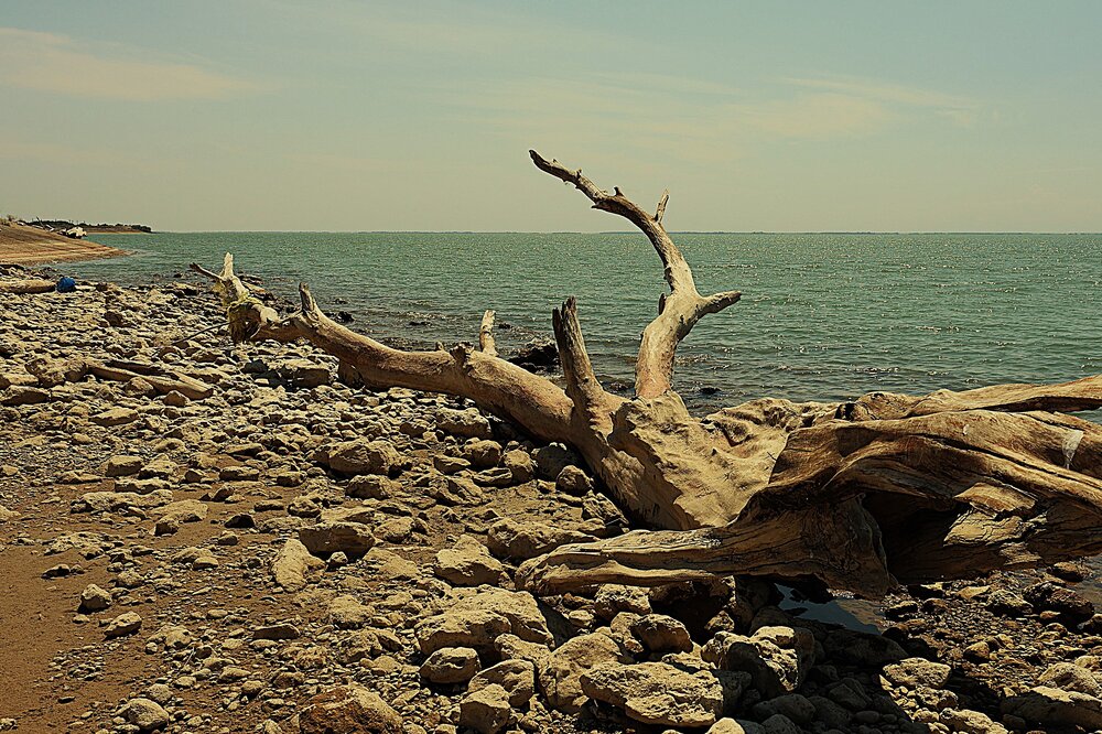 Photograph by Марина А-Б