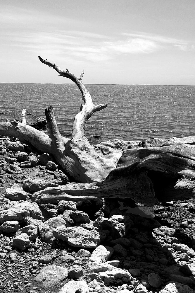 Photograph by Марина А-Б