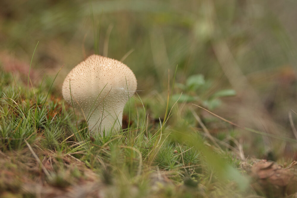Photograph by Светлана Смирнова