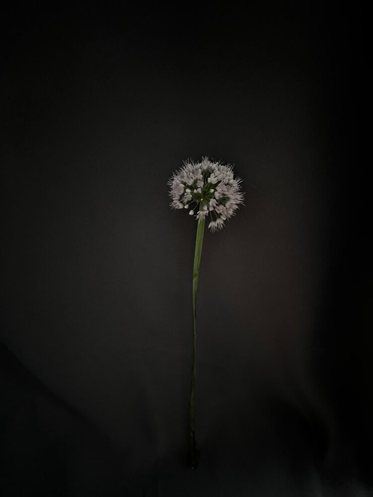 Фотография автора Динара
