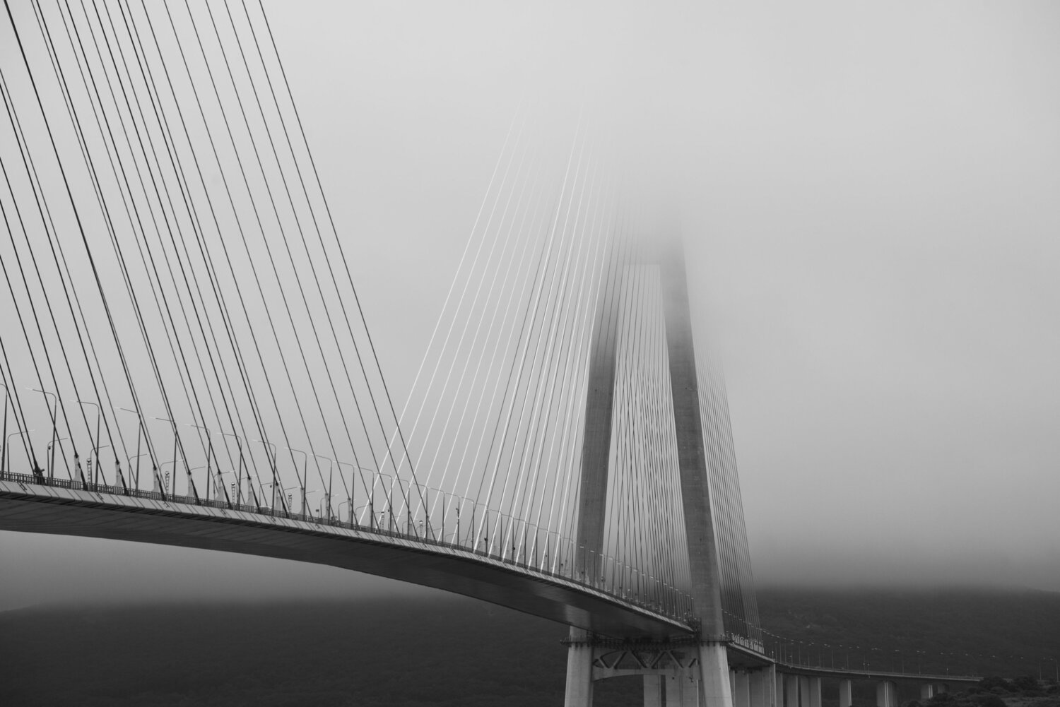 Photo #13920995