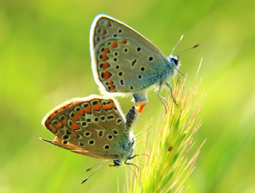Photograph by Сергей Кульков