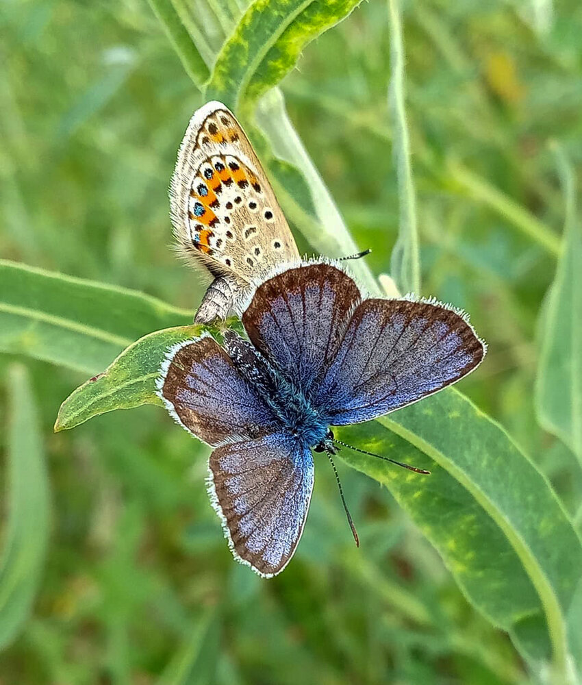 Photograph by Ольга Салтыкова