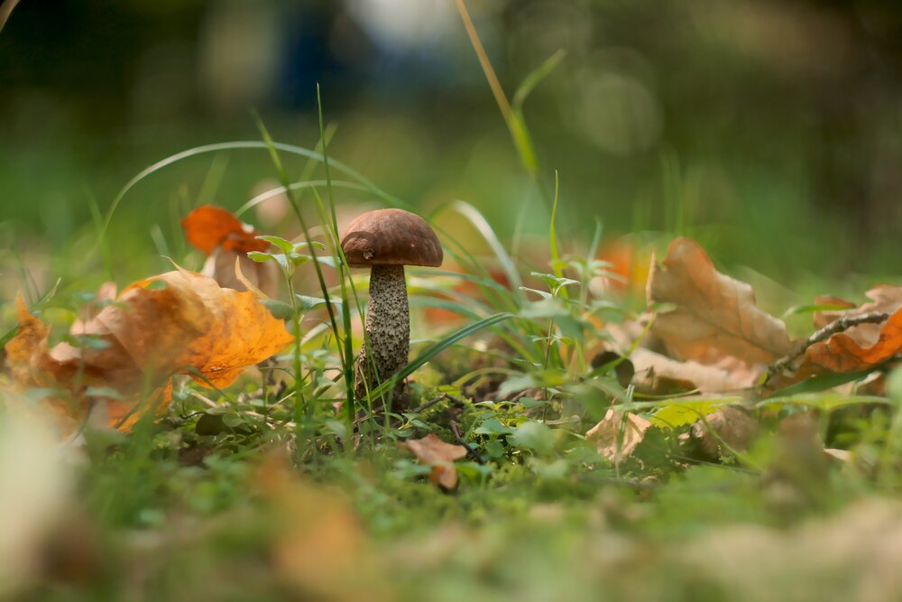 Photograph by Антон Иванов