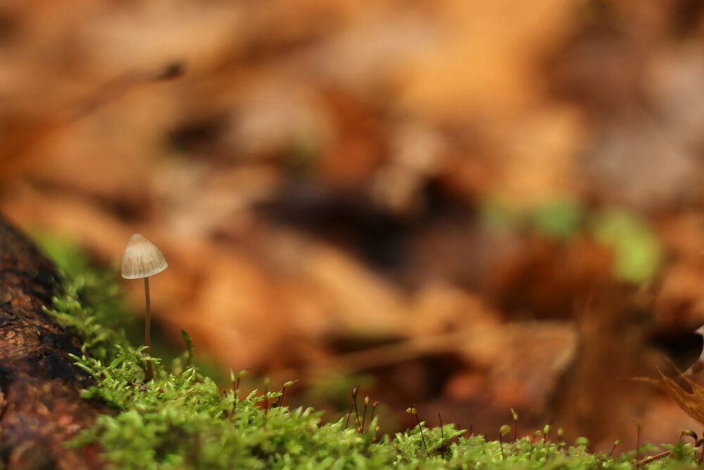Photograph by Антон Иванов