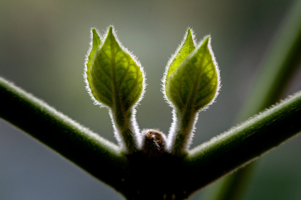 Photograph by Дмитрий Кузнецов
