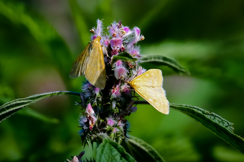 Photograph by Владимир Говоров