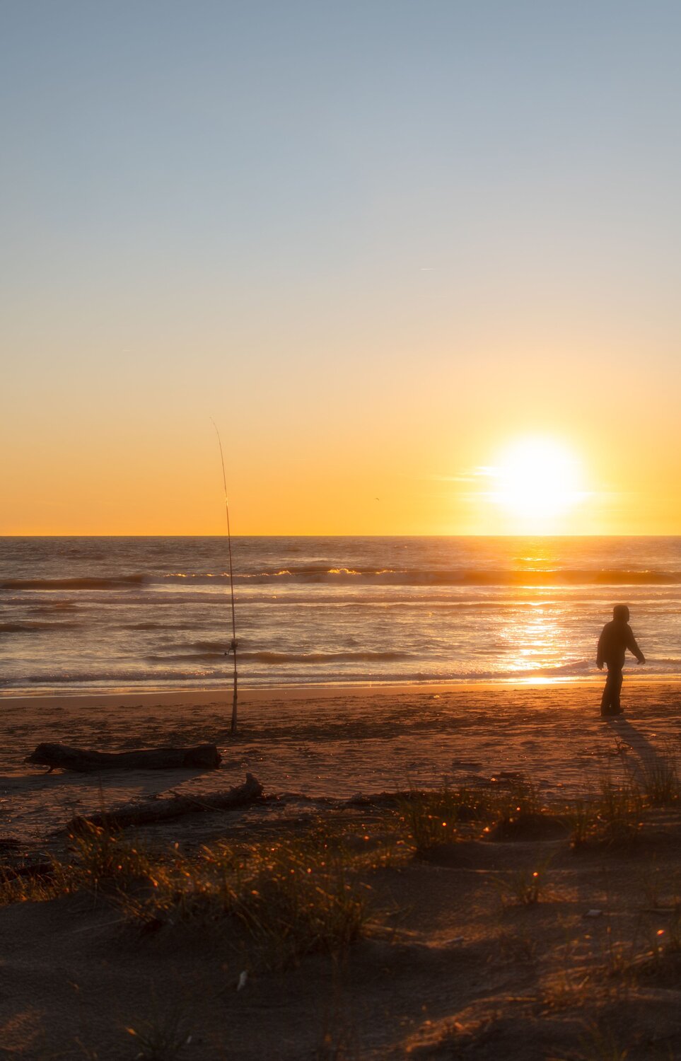 Photo #13921288