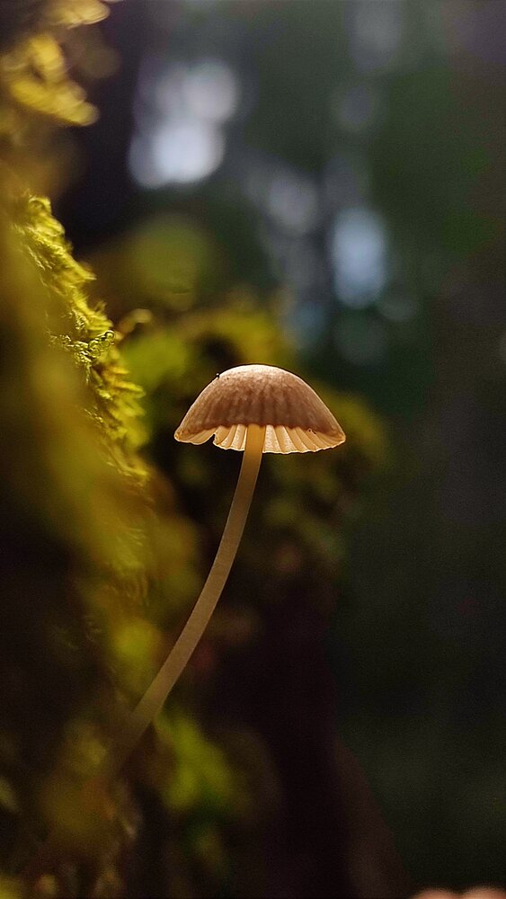 Photograph by Оксана Георгиевна