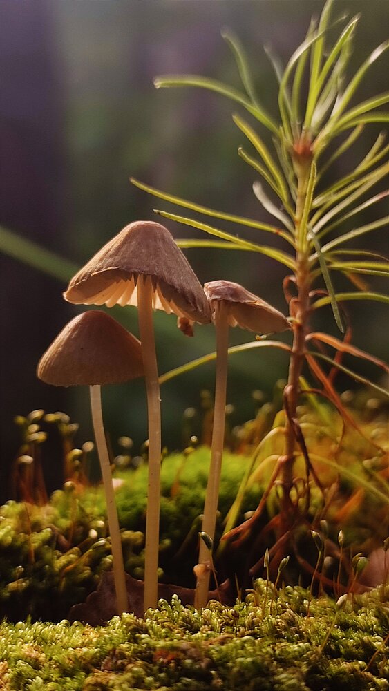Photograph by Оксана Георгиевна
