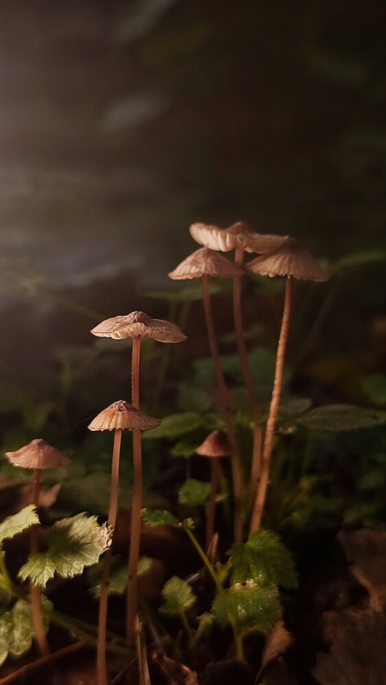 Photograph by Оксана Георгиевна