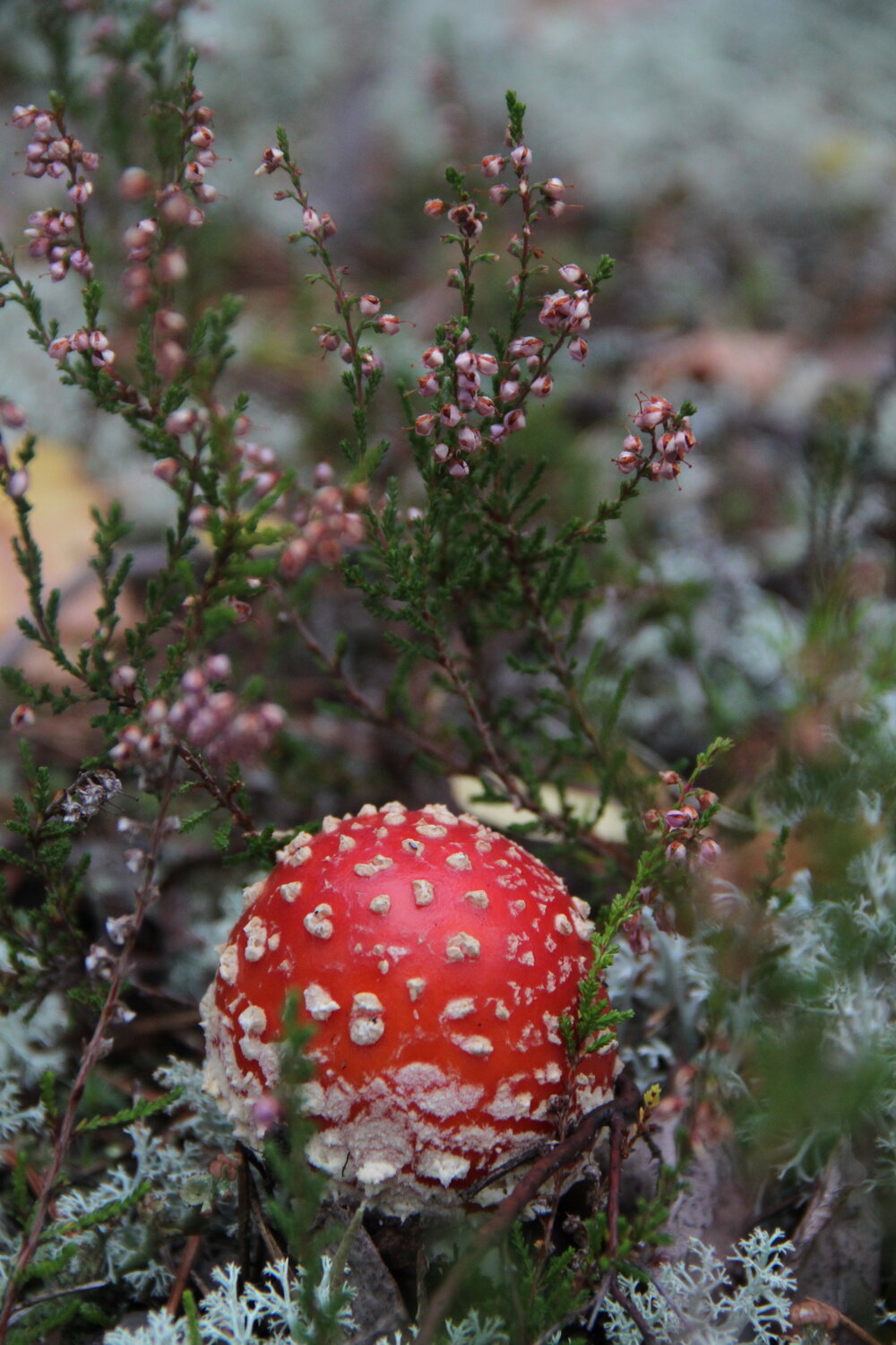 Photo #13921409