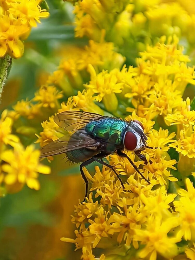 Photograph by Елена Пархоменко
