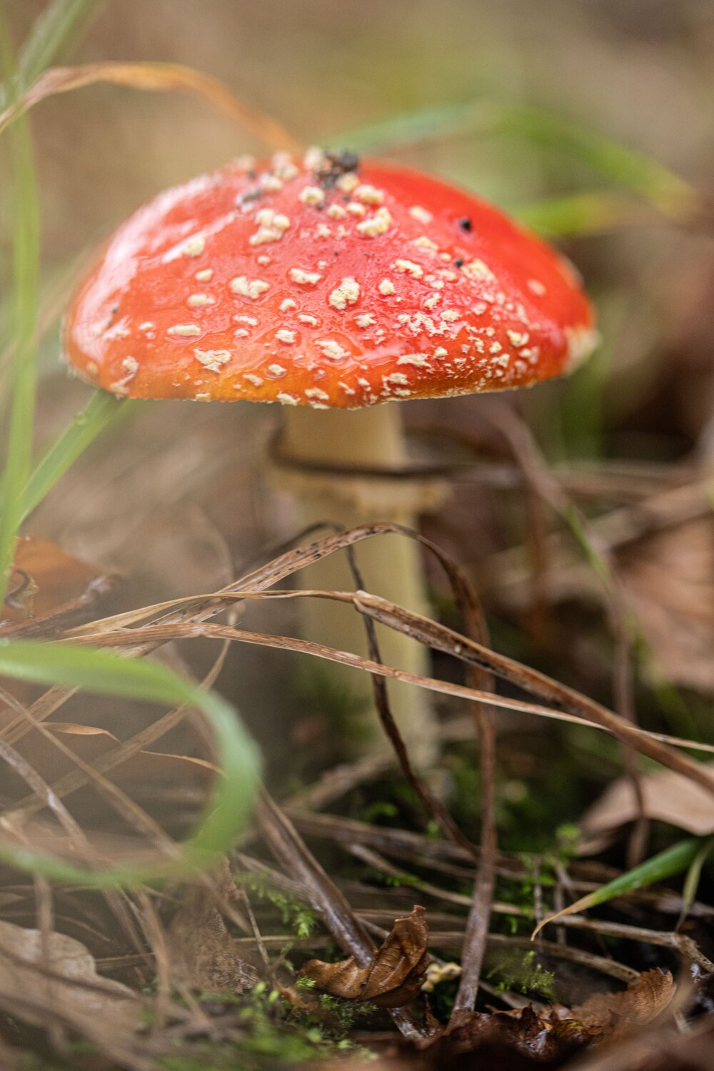 Photo #13921638