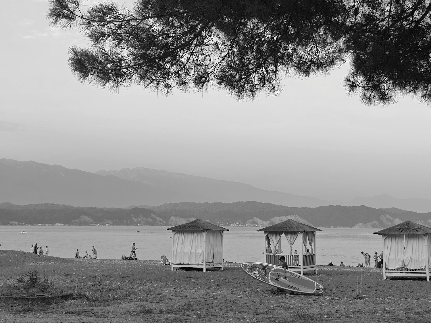 Photo #13921752