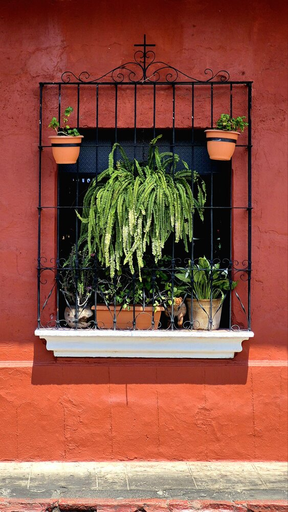 The Crimson Window of Antigua